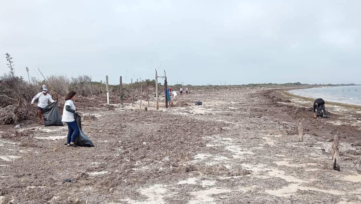En esta ocasión se les dio prioridad a las playas de la zona costera ante la cercanía del período vacacional