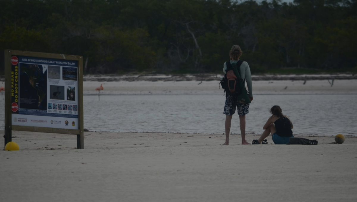 Semarnat niega permisos para desarrollos hoteleros en Holbox
Semarnat niega permisos para desarrollos hoteleros en Holbox