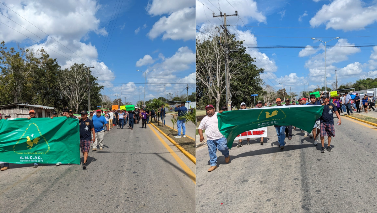 El Congreso de Quintana Roo aprobó la Ley para proteger a los animales