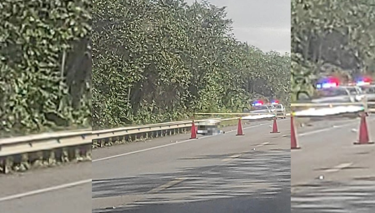 La persona fue arrollada por un vehículo que de manera irresponsable huyó del lugar dejando al peatón a su suerte La persona fue arrollada por un vehículo que de manera irresponsable huyó del lugar dejando al peatón a su suerte