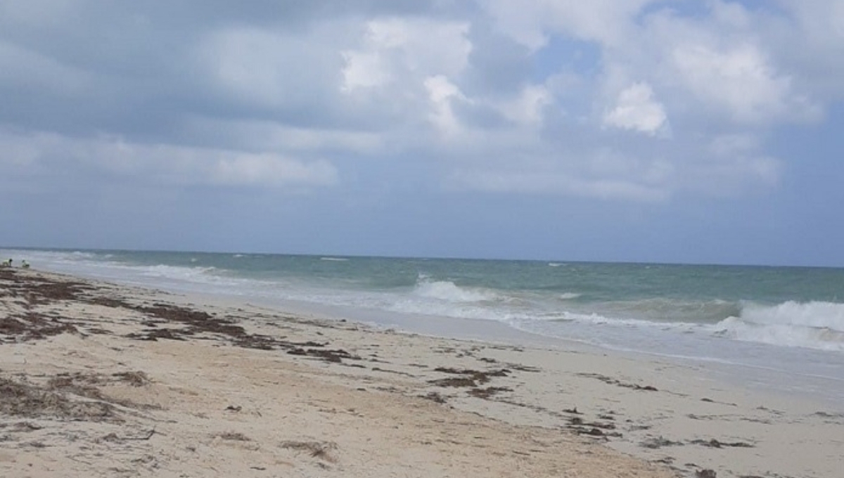 La Surada se presentará en Quintana Roo esta semana La Surada se presentará en Quintana Roo esta semana