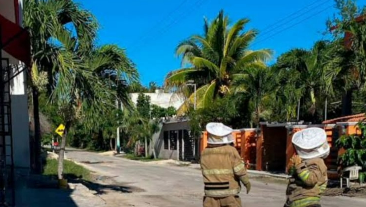 Se ha reportado la muerte de al menos 15 animales Se ha reportado la muerte de al menos 15 animales