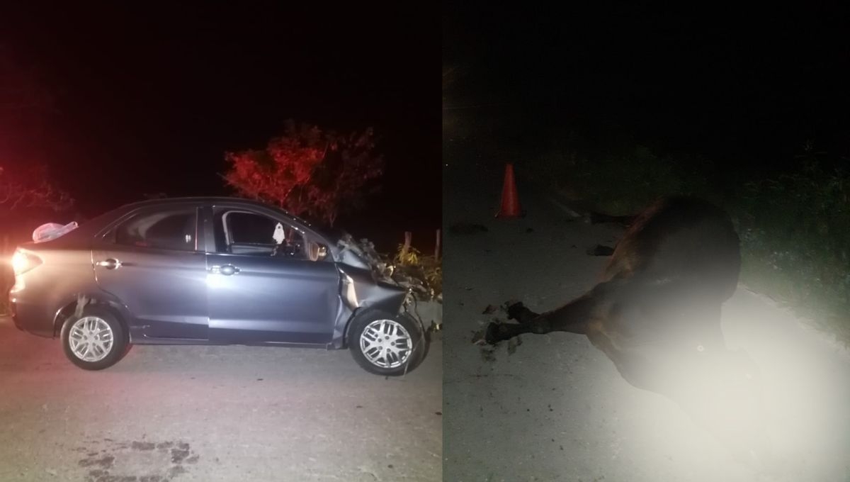 El automóvil quedó dañado del frente