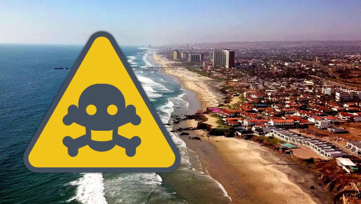 Seis playas no son aptas para uso recreativo en México