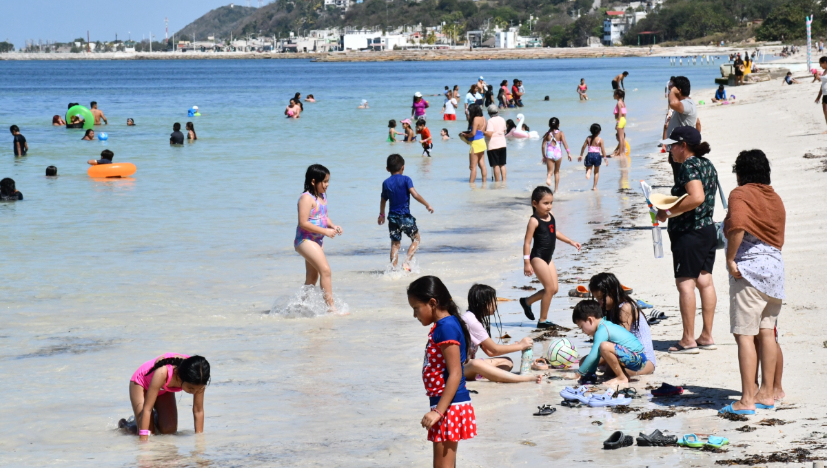 Playas, aptas para uso recreativo