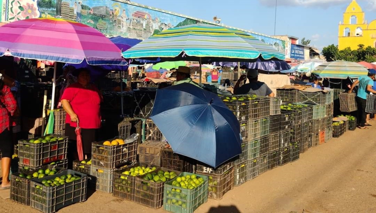 La caja del limón se vende en 250 pesos en el mercado de Oxkutzcab La caja del limón se vende en 250 pesos en el mercado de Oxkutzcab