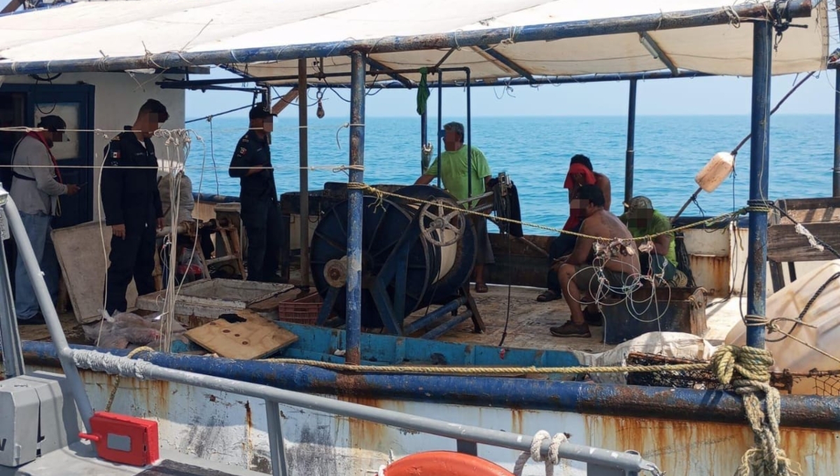 Decomisan cerca de 300 kilos de mero por pesca ilegal en Progreso