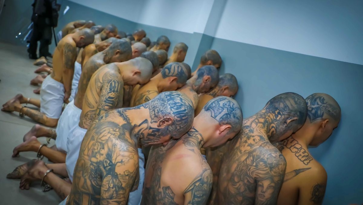 Amnistía Internacional prevé se agudice la crisis de derechos humanos en El Salvador