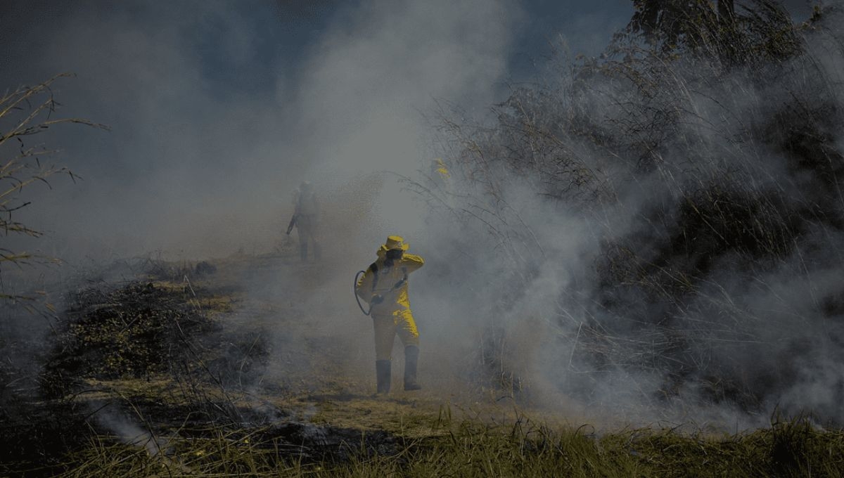 La Comisión Ambiental de la Megalópolis registró una calidad del aire "muy mala" por partículas PM2.5 en Azcapotzalco y Tlalnepantla