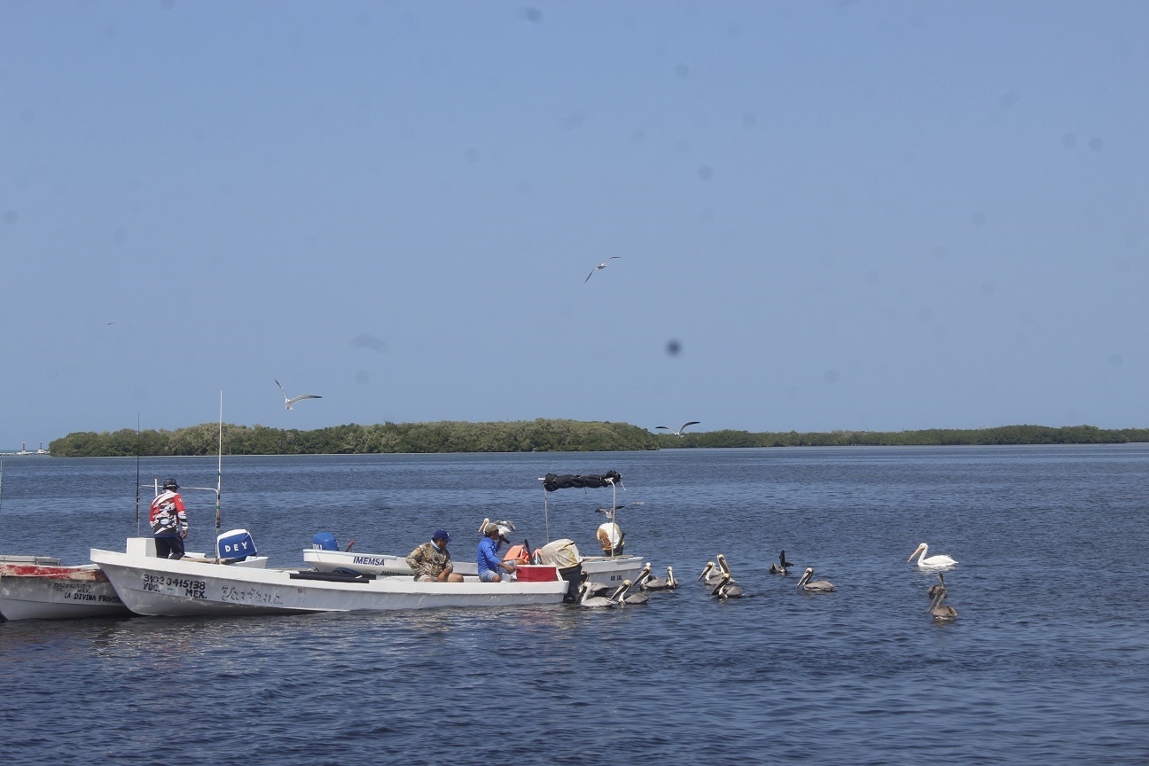 Ha aumentado la pesca ilegal este 2024 en Yucatán