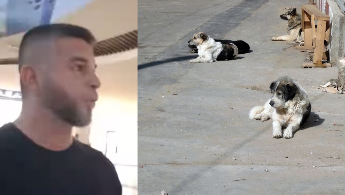 Un usuario denunció el hecho en redes sociales