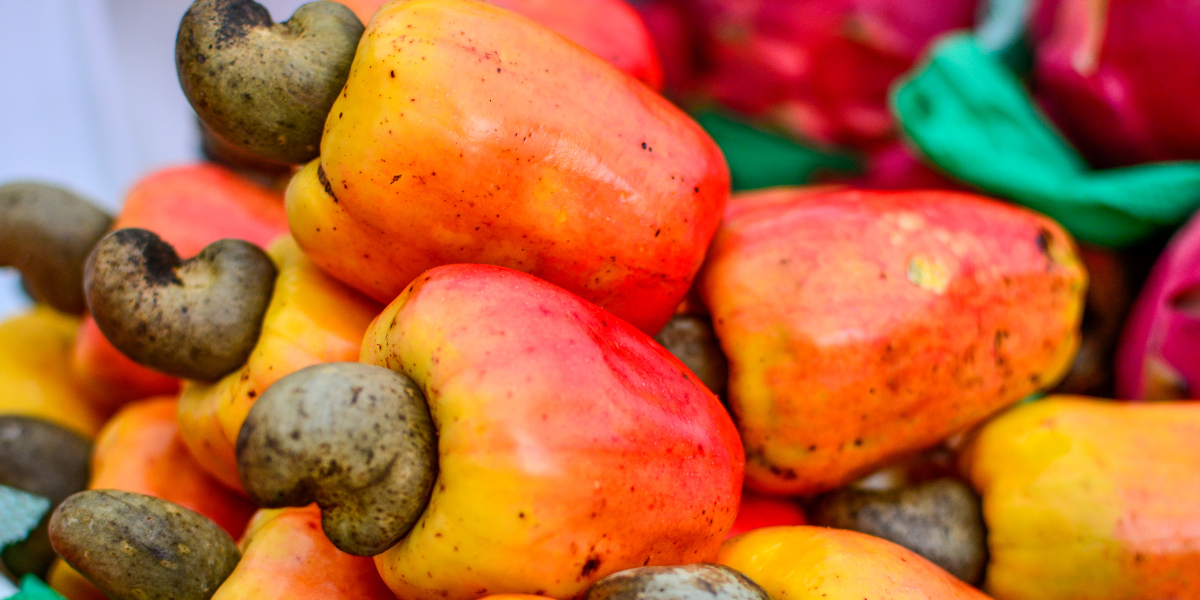 Campeche tiene grandes delicias frutales