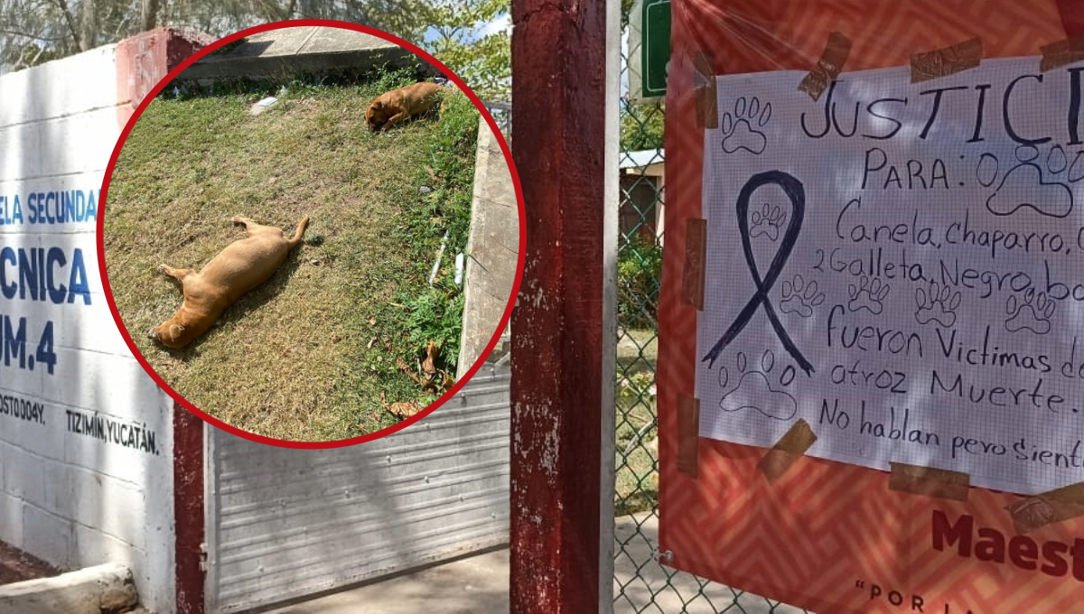 Mientras tanto, en el colegio la situación ha sido tensa, pues los alumnos colocaron varios carteles en diversas partes de la escuela