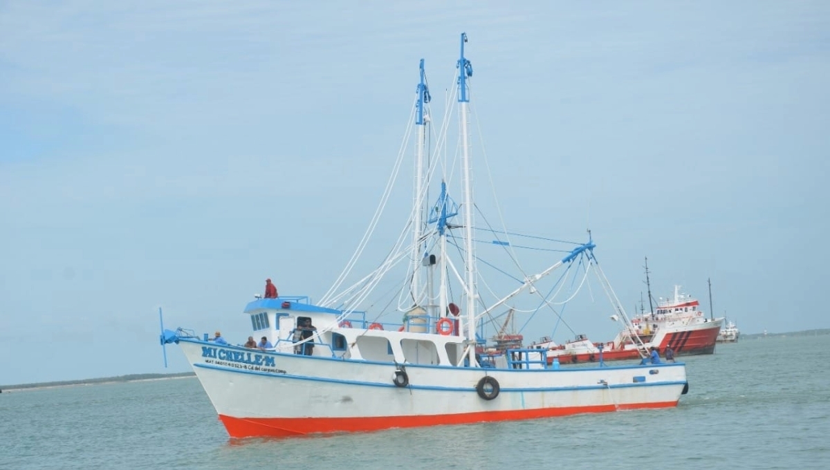 Hicieron un llamado a las autoridades de la Conapesca, Secretaría de Marina y Capitanías de Puerto Hicieron un llamado a las autoridades de la Conapesca, Secretaría de Marina y Capitanías de Puerto