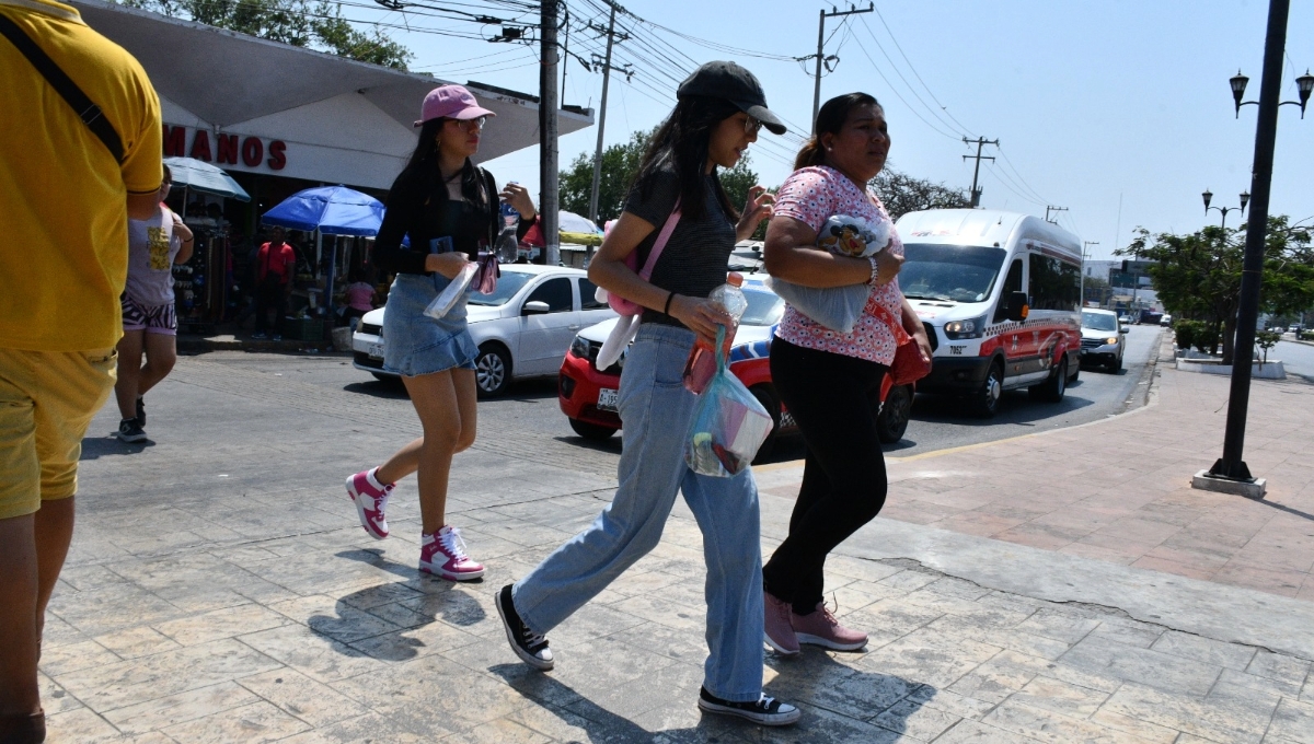 La dependencia ha atendido a al menos 180 niños y adolescentes víctimas de violencia