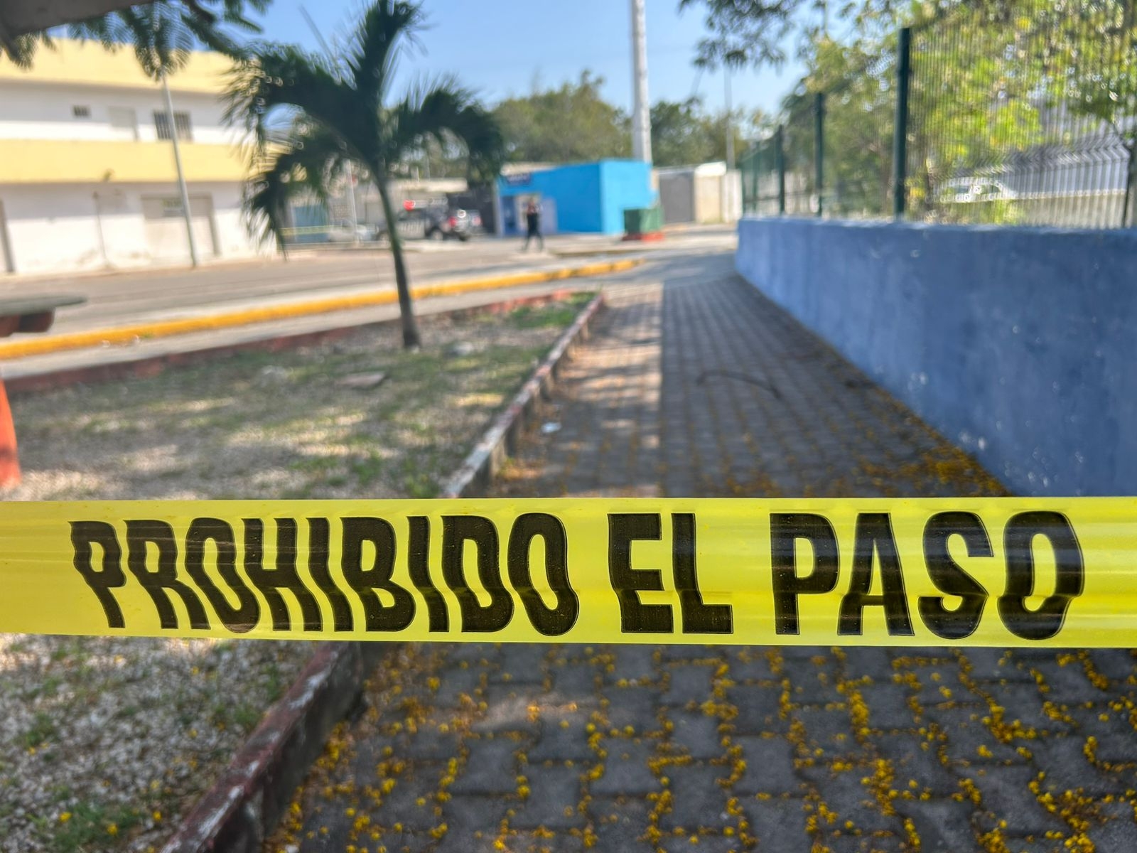 Localizan el cuerpo sin vida de una persona en Playa del Carmen Localizan el cuerpo sin vida de una persona en Playa del Carmen