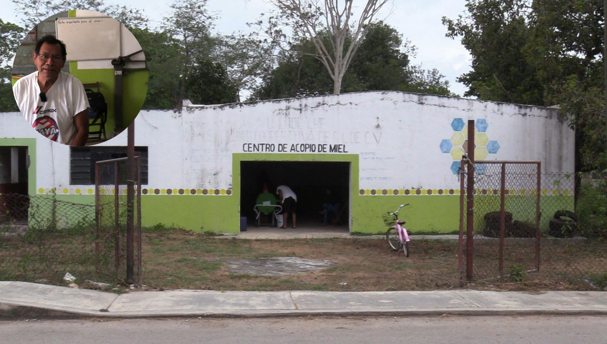 Apicultores de José María Morelos, en 'crisis' por el bajo precio de la miel