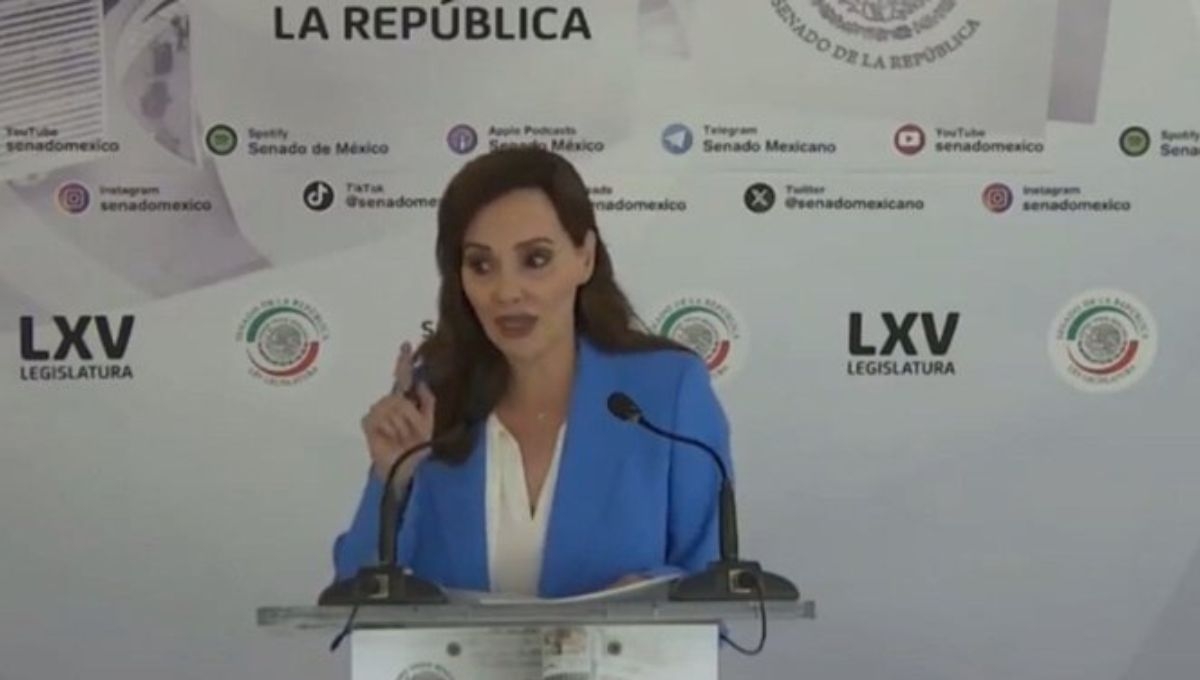 El presidente Andrés Manuel López Obrador calificó de cínicos los comentarios de Téllez, aunque descartó tacharla de traidora a la patria