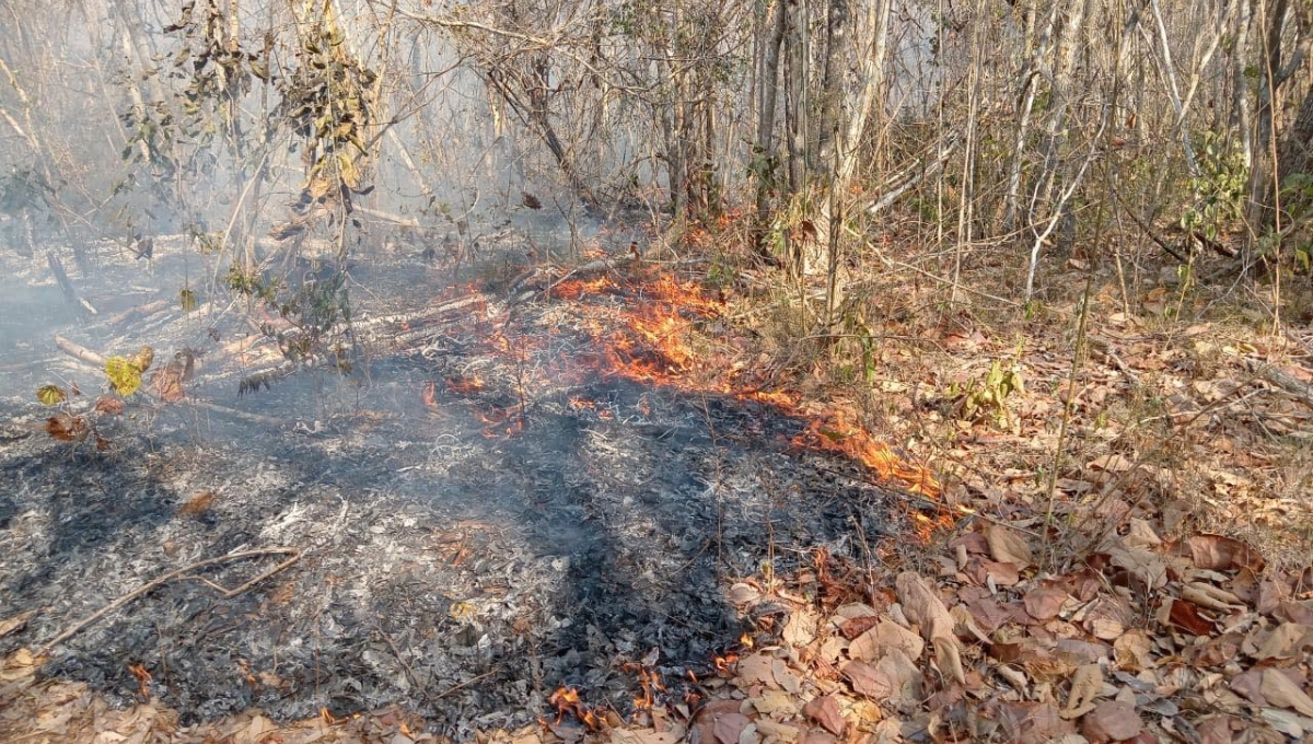 El incendio ha dejado graves afectaciones en El Cuyo El incendio ha dejado graves afectaciones en El Cuyo