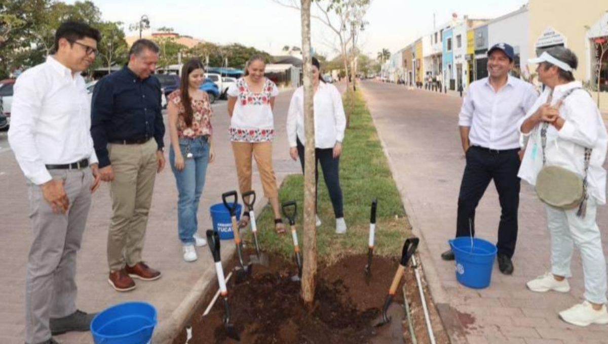 Suman un millón de árboles plantados en todo el estado