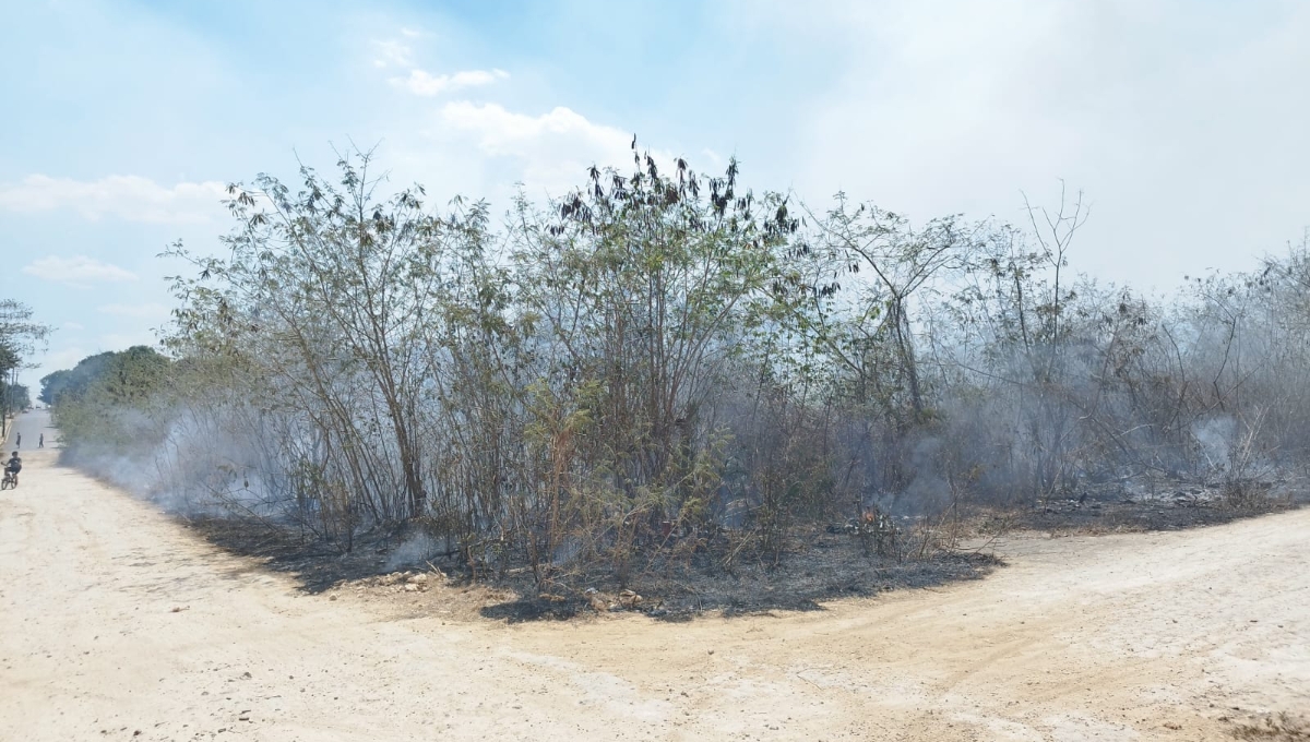 El incendio se habría originado por botellas rotas en José María Morelos