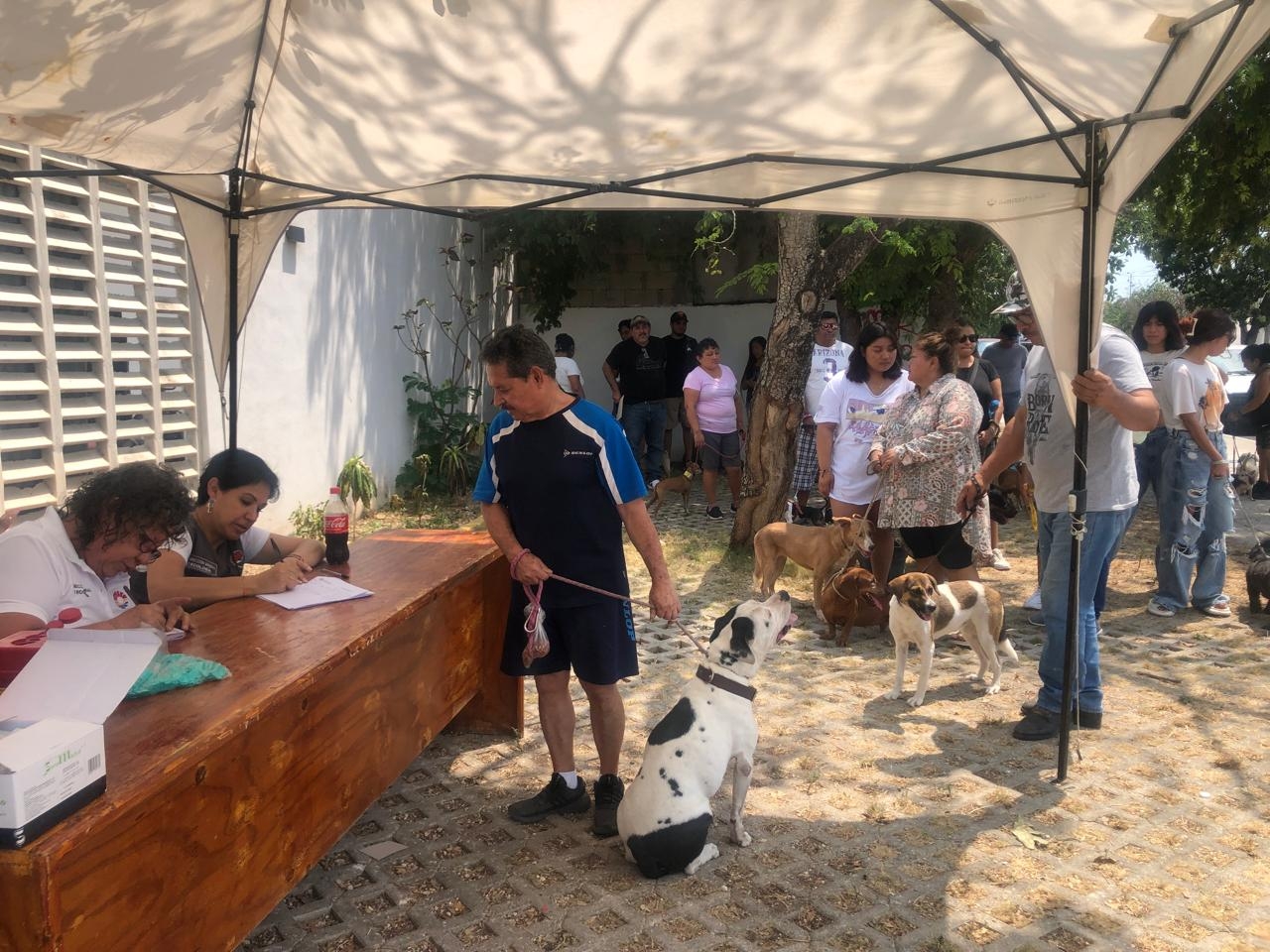 El Ayuntamiento de Cancún exige a los habitantes que registren a sus mascotas El Ayuntamiento de Cancún exige a los habitantes que registren a sus mascotas