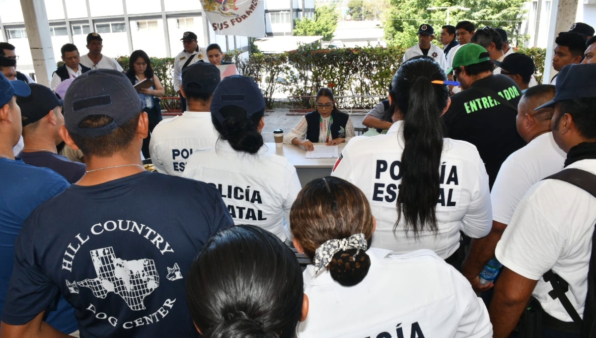 La titular de la Codhecam explicó que aún están en proceso de investigación