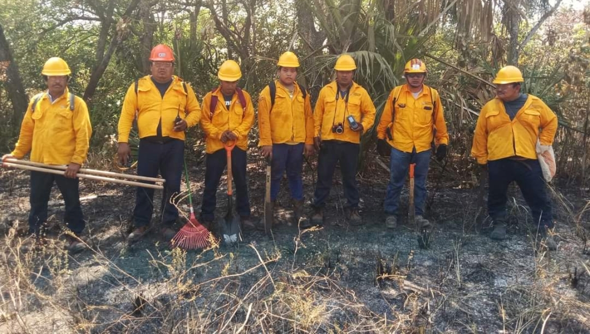 El incendio forestal en Chun Ek ya alcanzó afectaciones en 2 mil 350 hectáreas El incendio forestal en Chun Ek ya alcanzó afectaciones en 2 mil 350 hectáreas