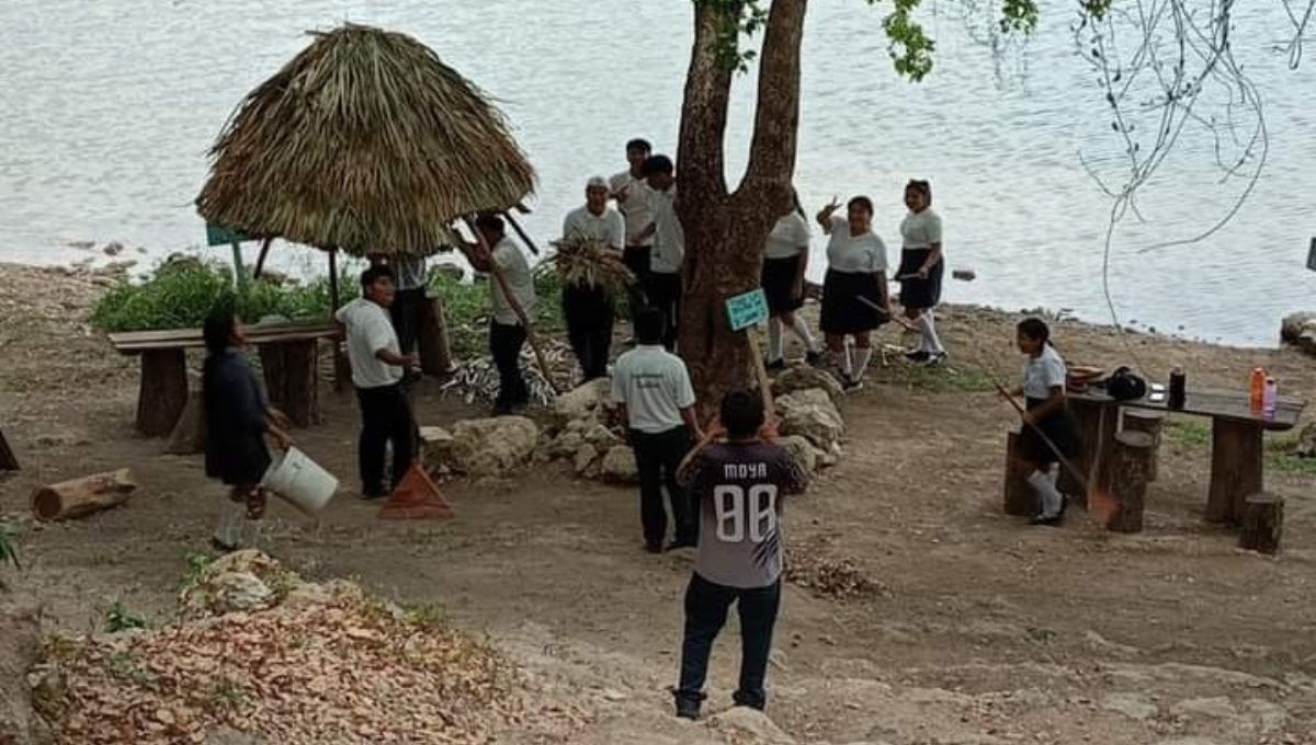 Así fue como los alumnos contribuyeron al medio ambiente