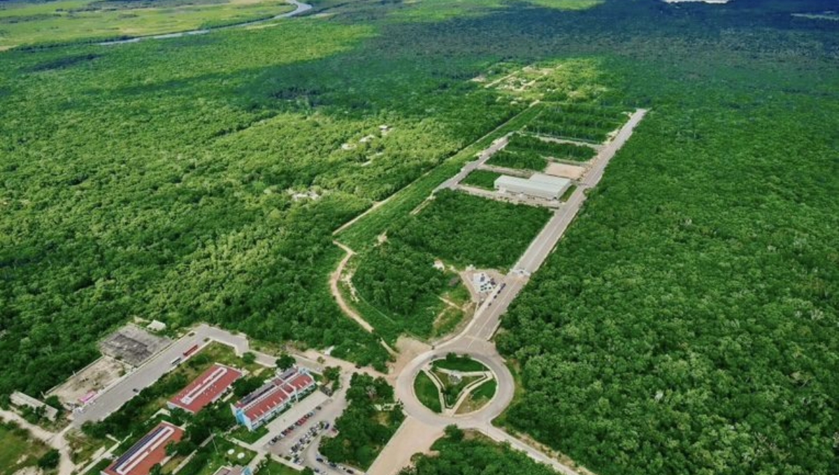 Los locatarios del Tianguis del Bienestar de Chetumal estarán exentos del impuesto que genera la importación Los locatarios del Tianguis del Bienestar de Chetumal estarán exentos del impuesto que genera la importación