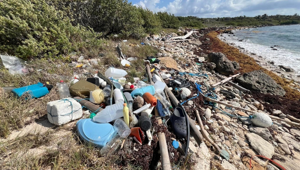 Hallan jeringas y basura en la playa de Costa Maya en Mahahual