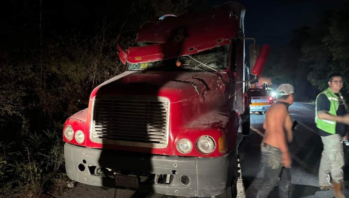 Árbol le cae encima a un volquete en Escárcega