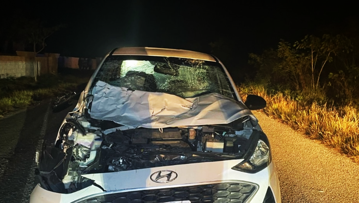 El coche quedó destrozado en toda su parte delantera El coche quedó destrozado en toda su parte delantera