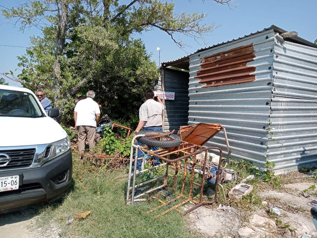 Profepa clausura una zona de invasión por construir casas en un manglar de Sisal