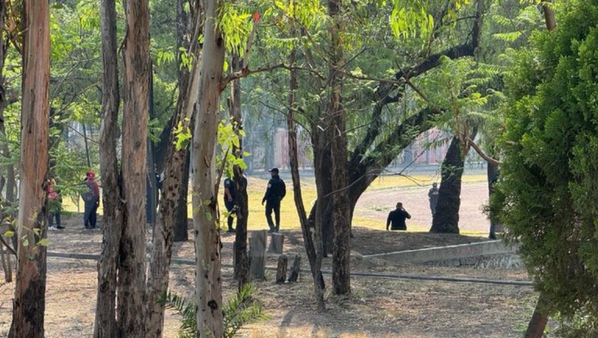 El cuerpo de una menor desaparecida en Tlalnepantla, Estado de México, fue encontrado este jueves en el Deportivo Caracoles de la misma localidad El cuerpo de una menor desaparecida en Tlalnepantla, Estado de México, fue encontrado este jueves en el Deportivo Caracoles de la misma localidad