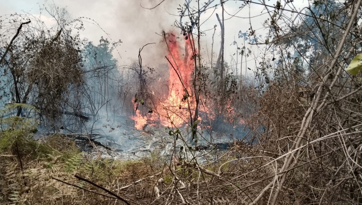 El incendio forestal de Chun Ek fue detectado desde el pasado 15 de abril