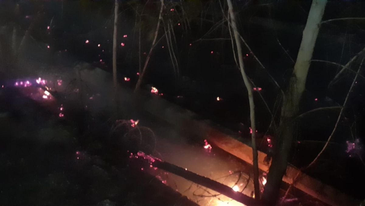 Así terminó la bodega en Cancún