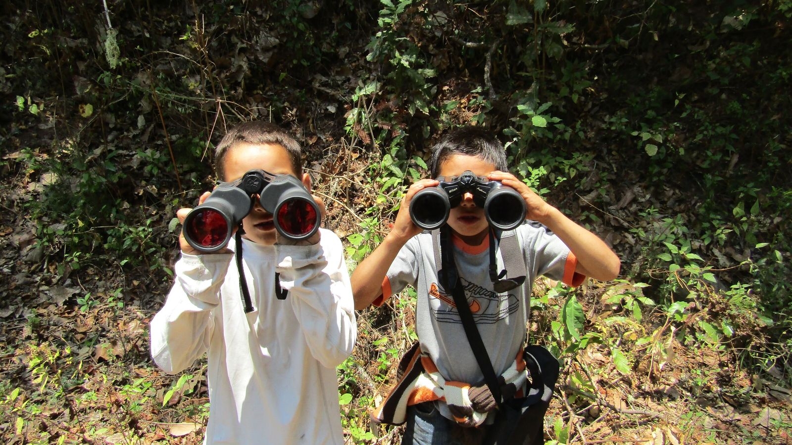 Hoy martes 30 de abril se celebra el Día del Niño en México