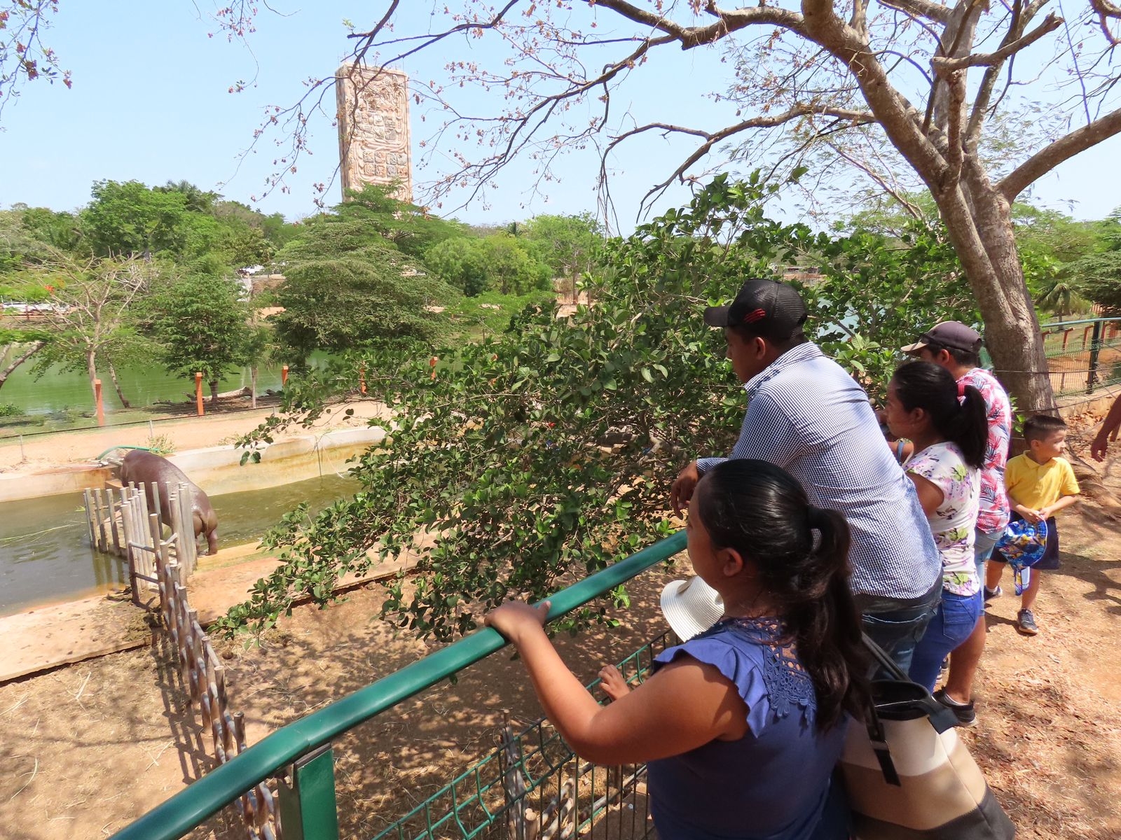 Animaya es uno de los zoológicos que hay en Mérida Animaya es uno de los zoológicos que hay en Mérida