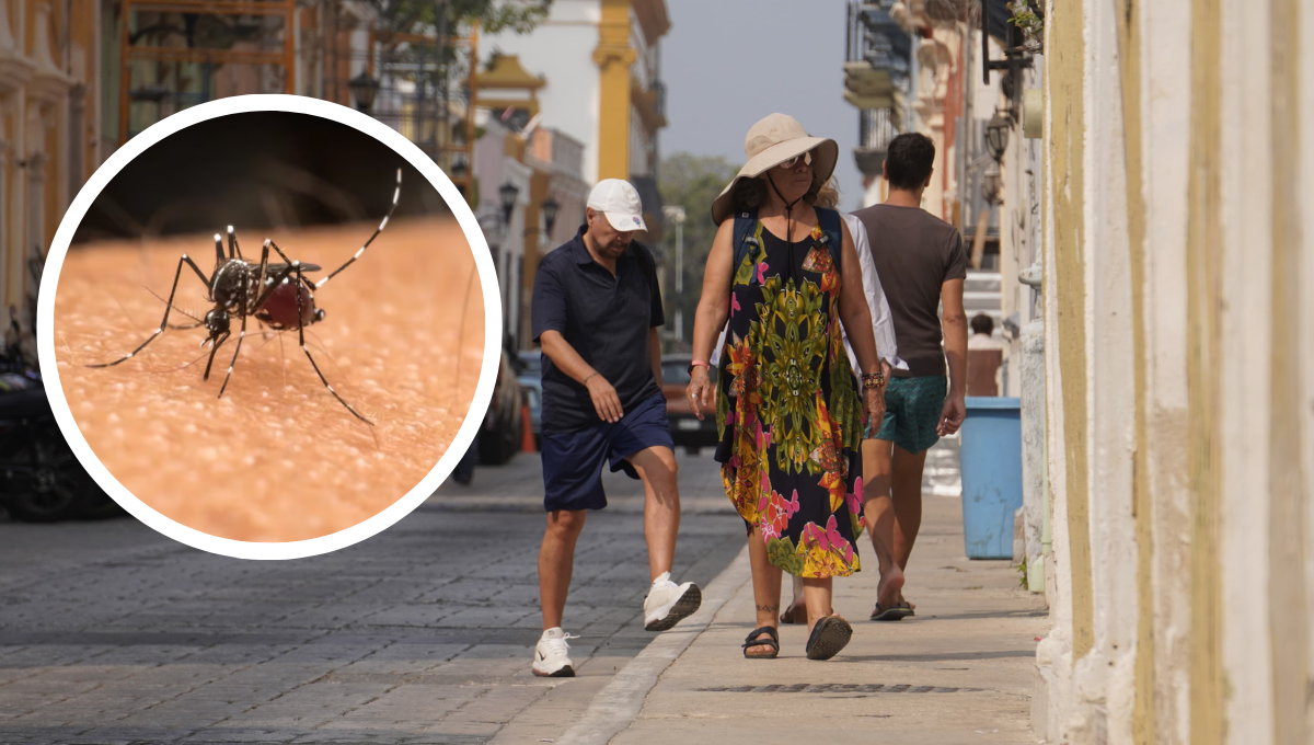 Con 371 casos de diferentes tipos de dengue