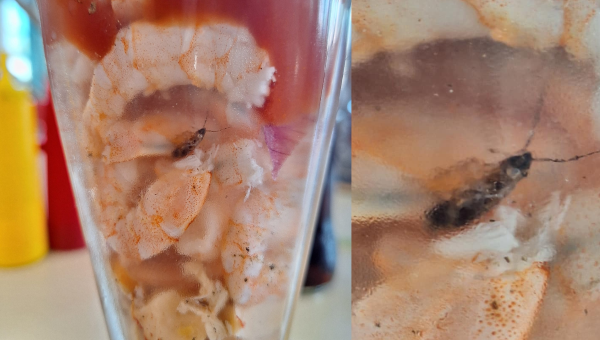 encuentra cucaracha en su coctel de camarones