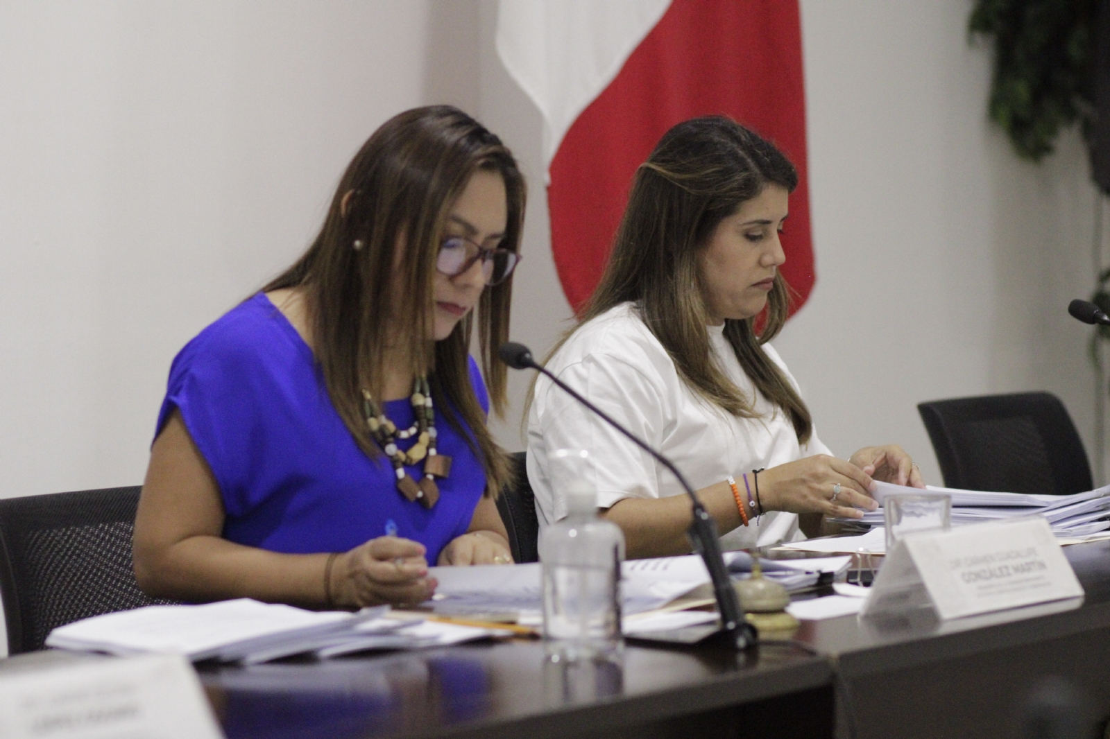 Las sesiones del Congreso de Yucatán han tenido que pausarse por las campañas electorales Las sesiones del Congreso de Yucatán han tenido que pausarse por las campañas electorales