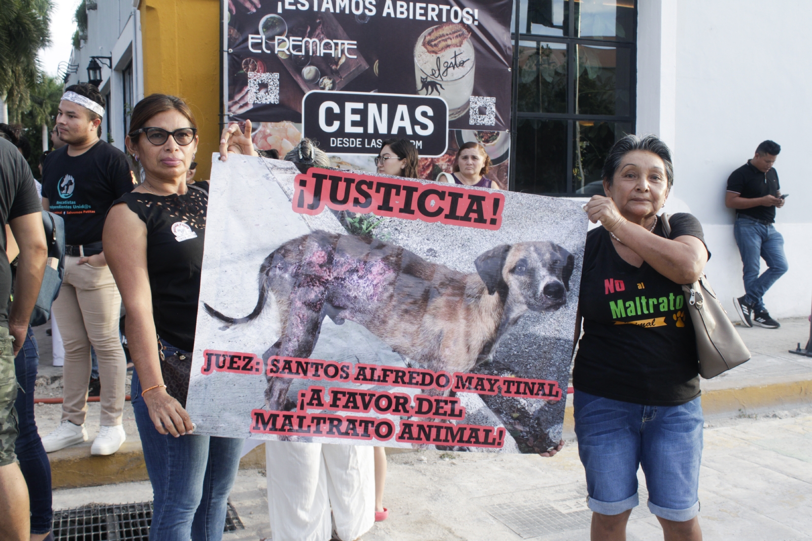 Animalistas organizan protesta contra el hombre que le mutiló la pata a un perro en Umán