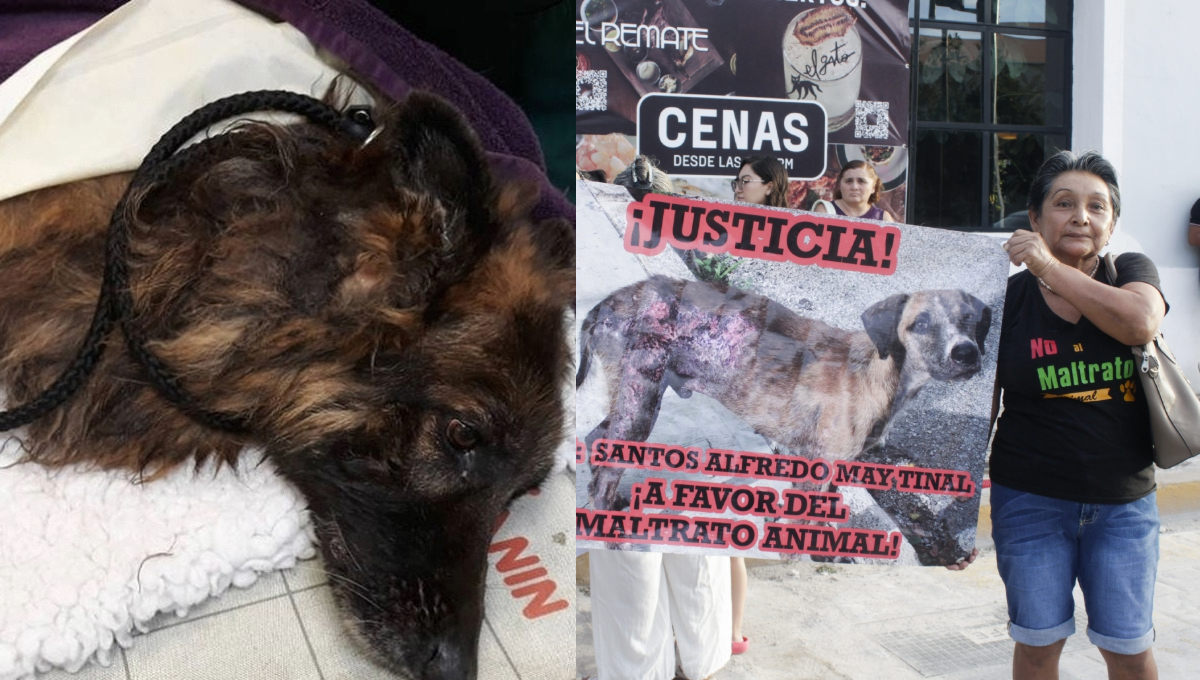 Hace unas semanas el Congreso de Yucatán aprobó la Ley Rufo