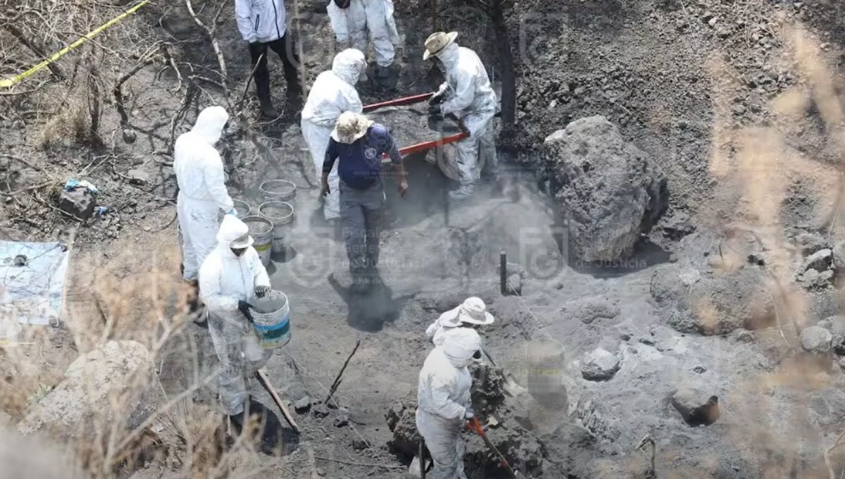 Más de 50 especialistas participan en el análisis del presunto crematorio clandestino en CDMX Más de 50 especialistas participan en el análisis del presunto crematorio clandestino en CDMX