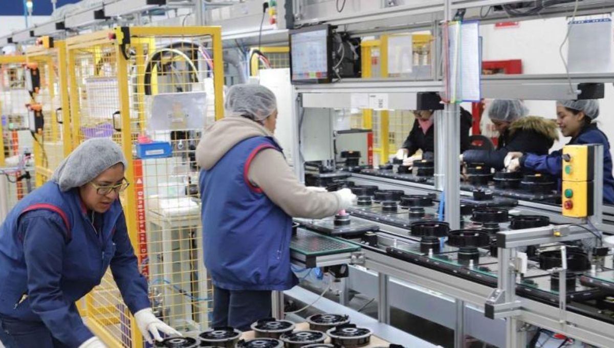 Este jueves la OCDE actualizó sus previsiones para la economía mexicana, reduciendo su expectativa de crecimiento del 2.5 por ciento al 2.2 por ciento para el cierre del año 2024 Este jueves la OCDE actualizó sus previsiones para la economía mexicana, reduciendo su expectativa de crecimiento del 2.5 por ciento al 2.2 por ciento para el cierre del año 2024