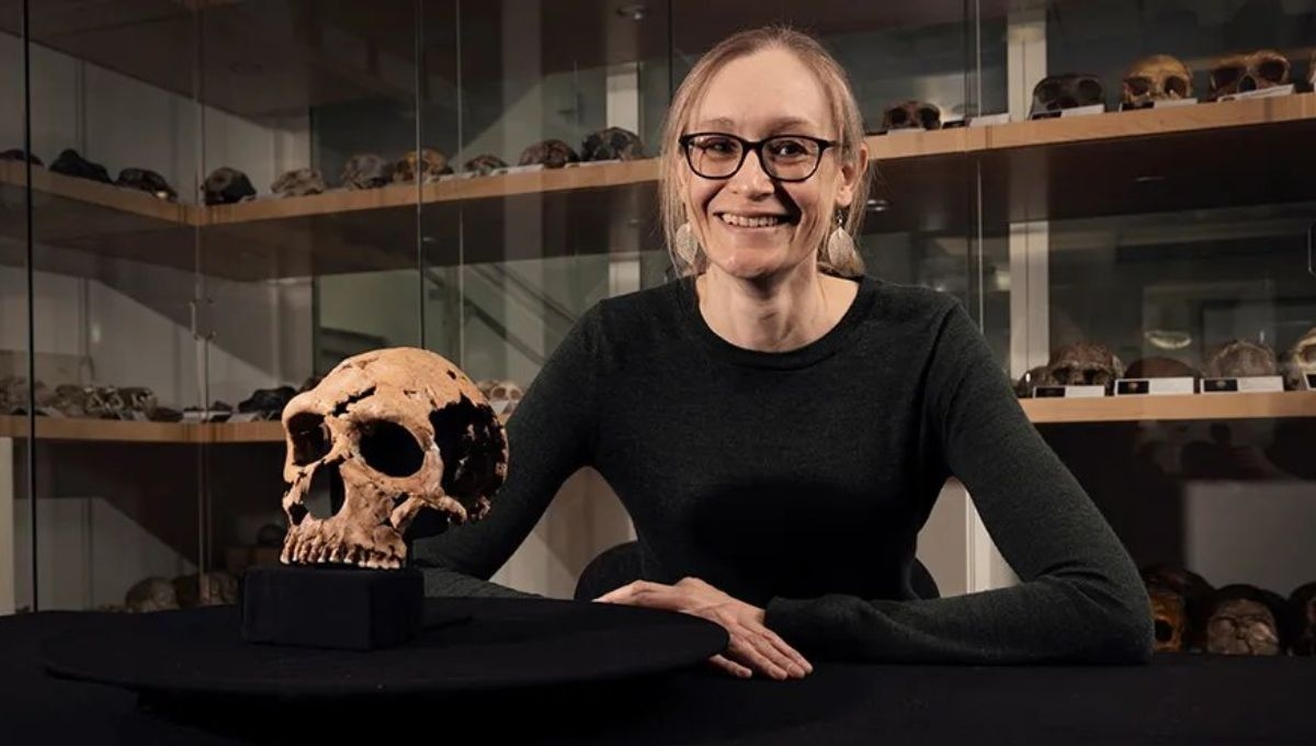 Nuevo estudio arqueológico recreó el rostro de una mujer neandertal de hace 70 mil años Nuevo estudio arqueológico recreó el rostro de una mujer neandertal de hace 70 mil años