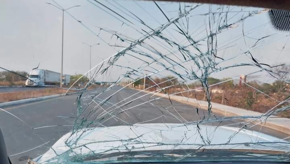 La mayoría de los accidentes son causados al intentar esquivar los baches
