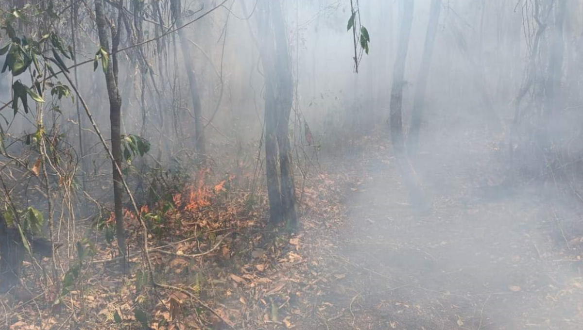 En campeche, hay tres incendios activos: Semabicce