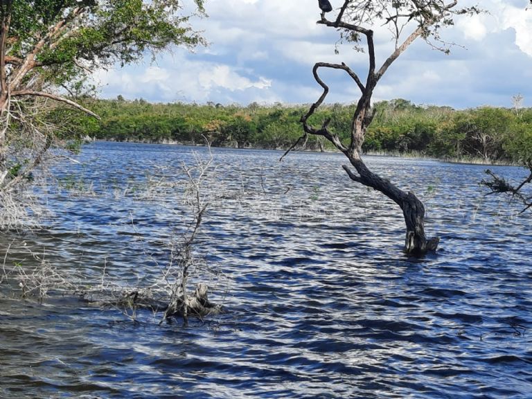 La Laguna Nachi Cocom destaca por su belleza natural La Laguna Nachi Cocom destaca por su belleza natural